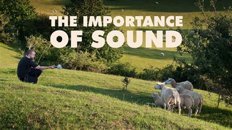 how to add music to carousel post: the importance of sound in visual storytelling